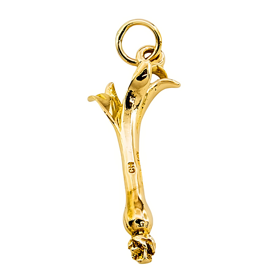 9ct gold Leek Charm